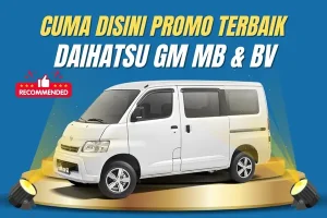 Gran Max Minibus & Blindvan