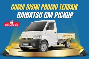 Granmax Pickup